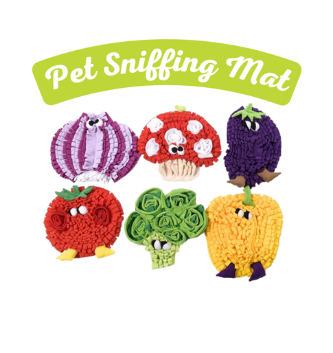 Pet Accessories