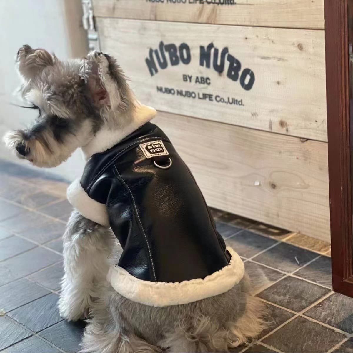 7 Winter Essentials for Dogs 2024 | RuisPet Wear's Ultimate Guide