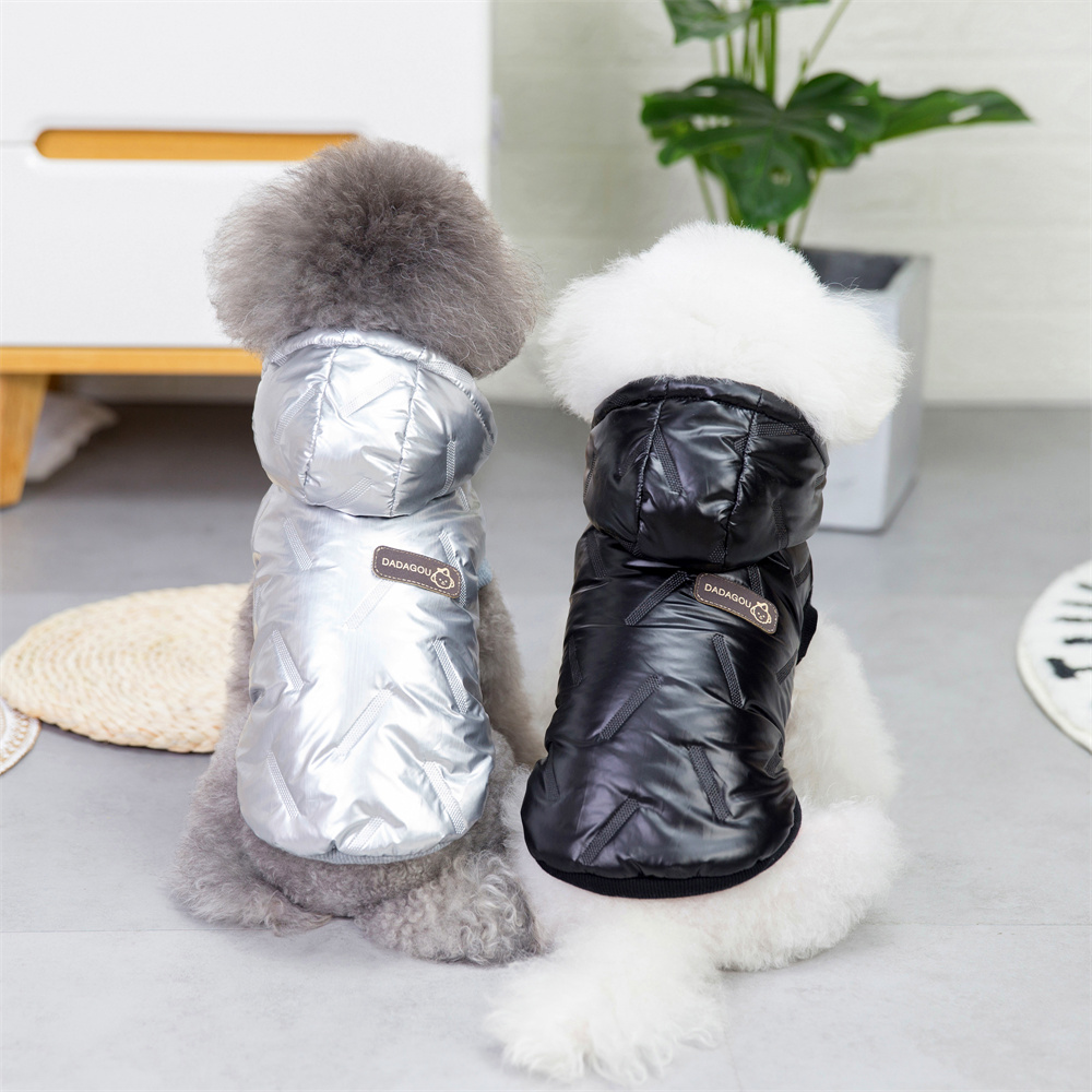 Make Your Dog Truly Distinctive!​