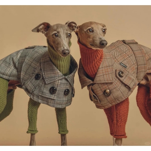 How to choose Whippet Dog Clothing - Ruispet Wear